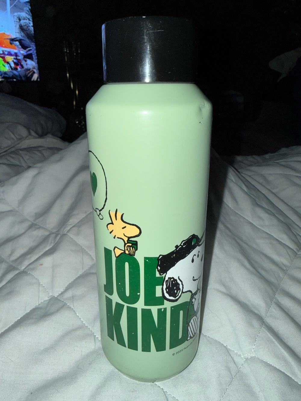 Peanuts Joe Kind Snoopy Stainless Steel Water Bottle